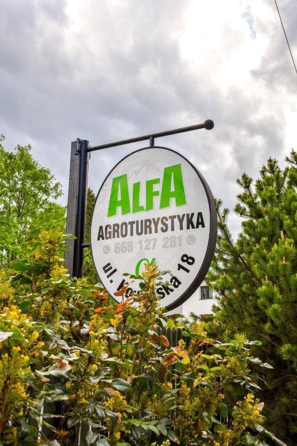 Agroturystyka Alfa Bystra Kültér fotó